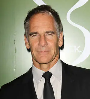 Quantum Leap stars to reunite on TV