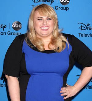 Rebel Wilson suffered fashion nightmare at Jason Segel lunch