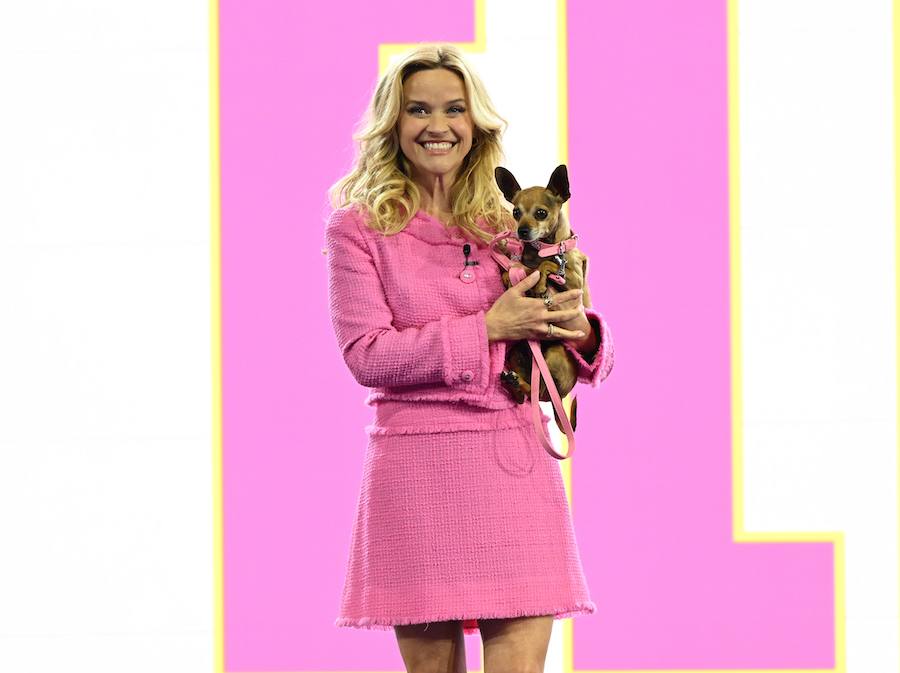 Everything We Know So Far About Prime Video's 'Legally Blonde' Prequel Series "Elle"!