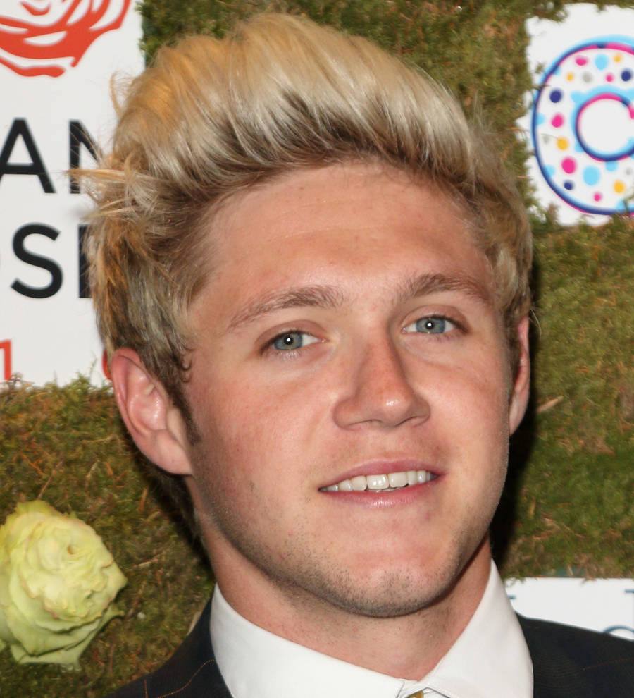 Niall Horan: 'One Direction could reunite in the near future'
