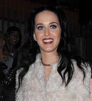 Katy Perry puts comedy dreams on hold because of music career