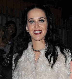 Katy Perry puts comedy dreams on hold because of music career