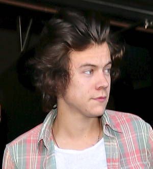 Harry Styles buys bachelor pad in Beverly Hills