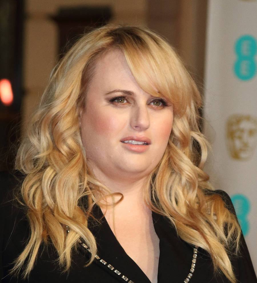 Rebel Wilson received death threats from One Direction fans