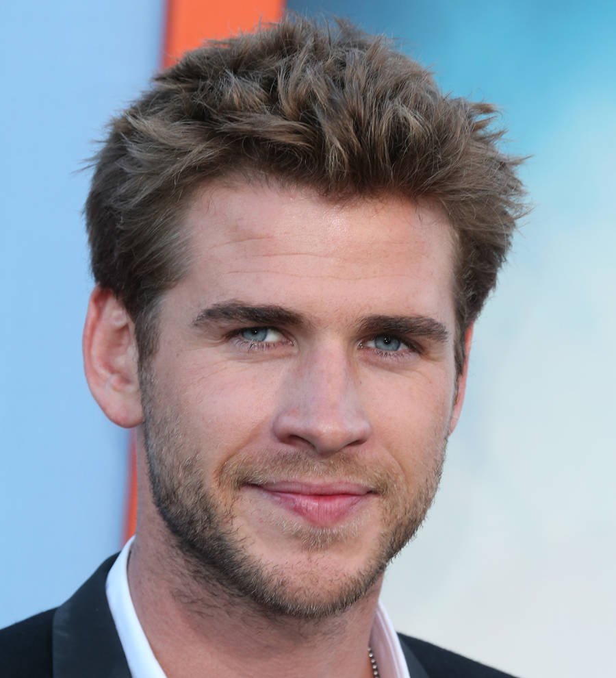Liam Hemsworth scores cameo on The Muppets reboot