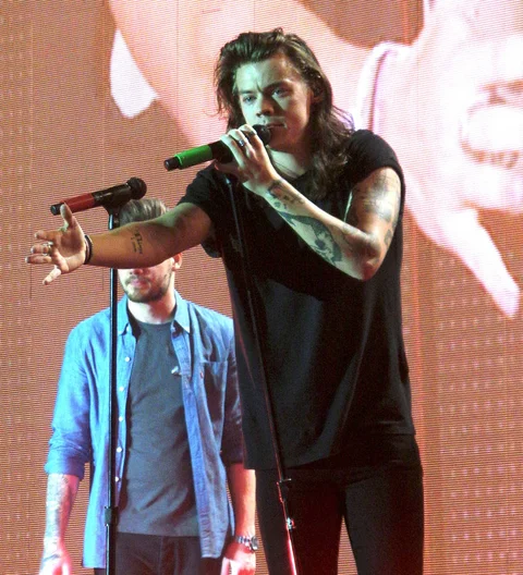 Harry Styles won't admit to Taylor Swift song
