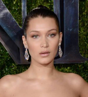 Bella Hadid hospitalized with mystery illness