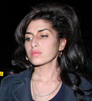 Amy Winehouse opportunist defends domain name purchase