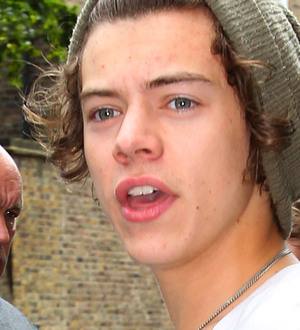 Police probe One Direction fan's knife photo