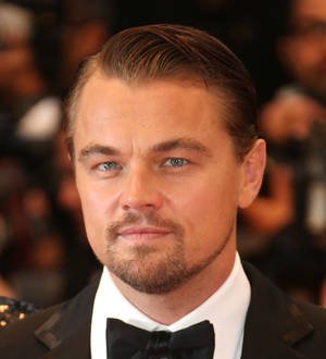 Leonardo DiCaprio worries over directing debut