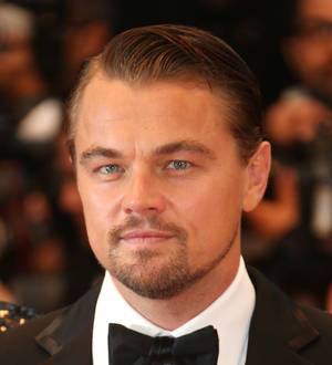 Leonardo DiCaprio worries over directing debut