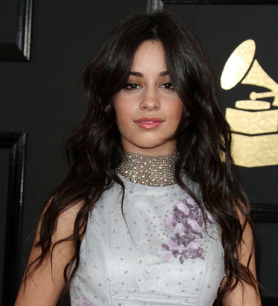 Camila Cabello drops colorful Pitbull collaboration video