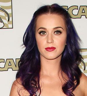 Katy Perry asks fans for style advice