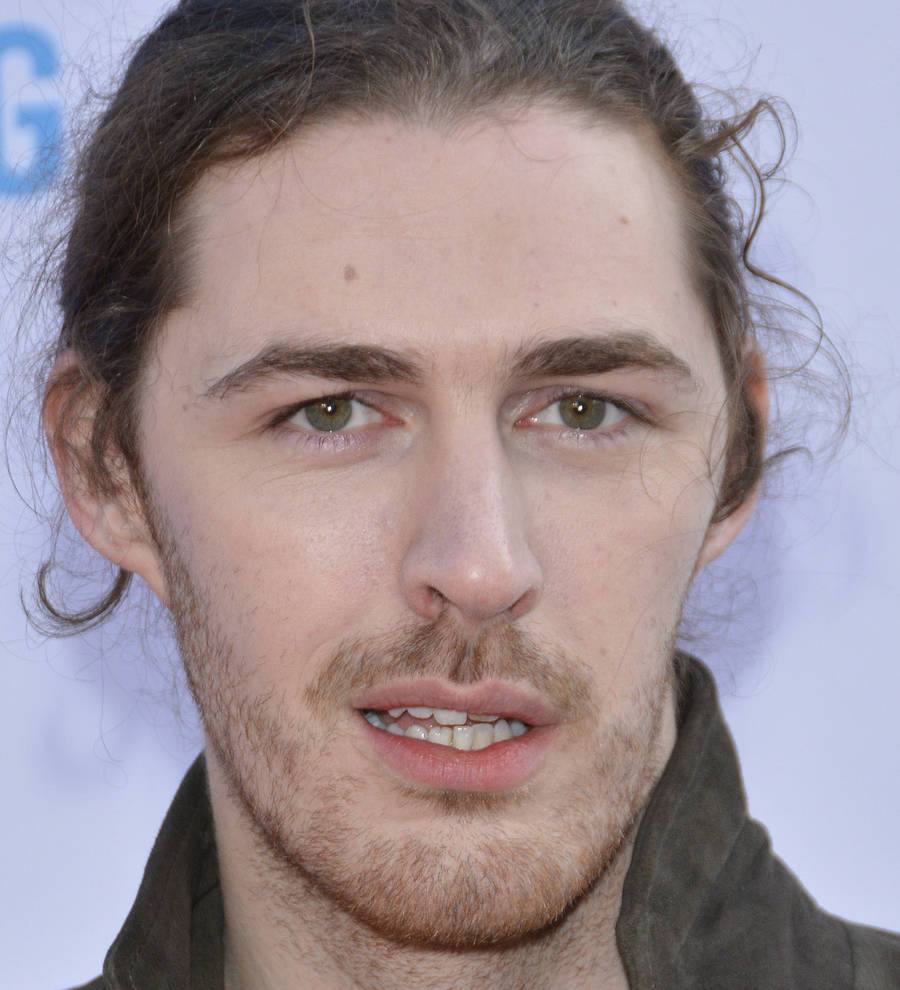 Hozier files defamation suit over plagiarism allegations