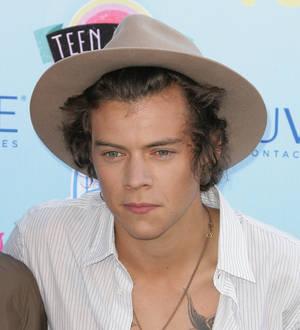 Harry Styles suffers injury on fishing trip
