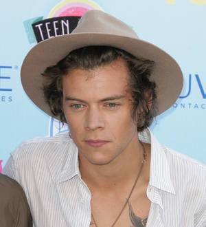 Harry Styles suffers injury on fishing trip