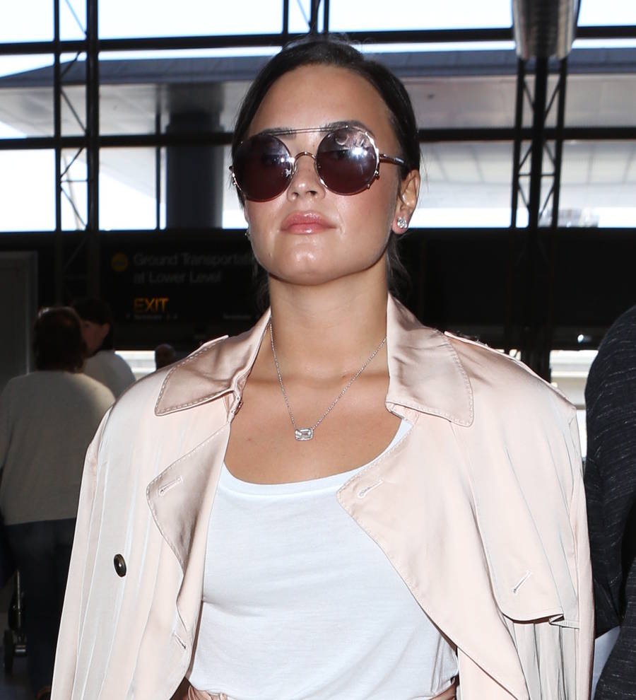 Demi Lovato's home targeted by suspected burglar