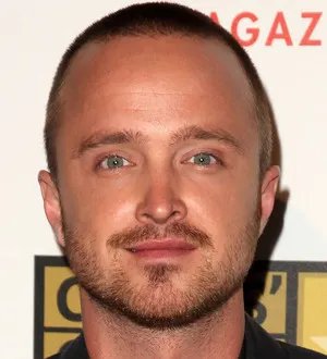 Aaron Paul to photograph Lollapalooza for Pitchfork