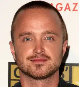 Aaron Paul to photograph Lollapalooza for Pitchfork