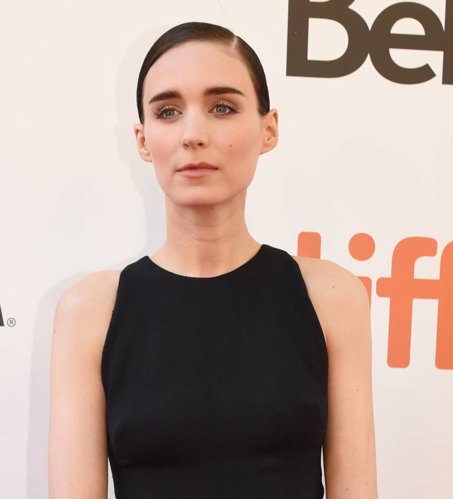 Fifth The Girl with the Dragon Tattoo book in the works