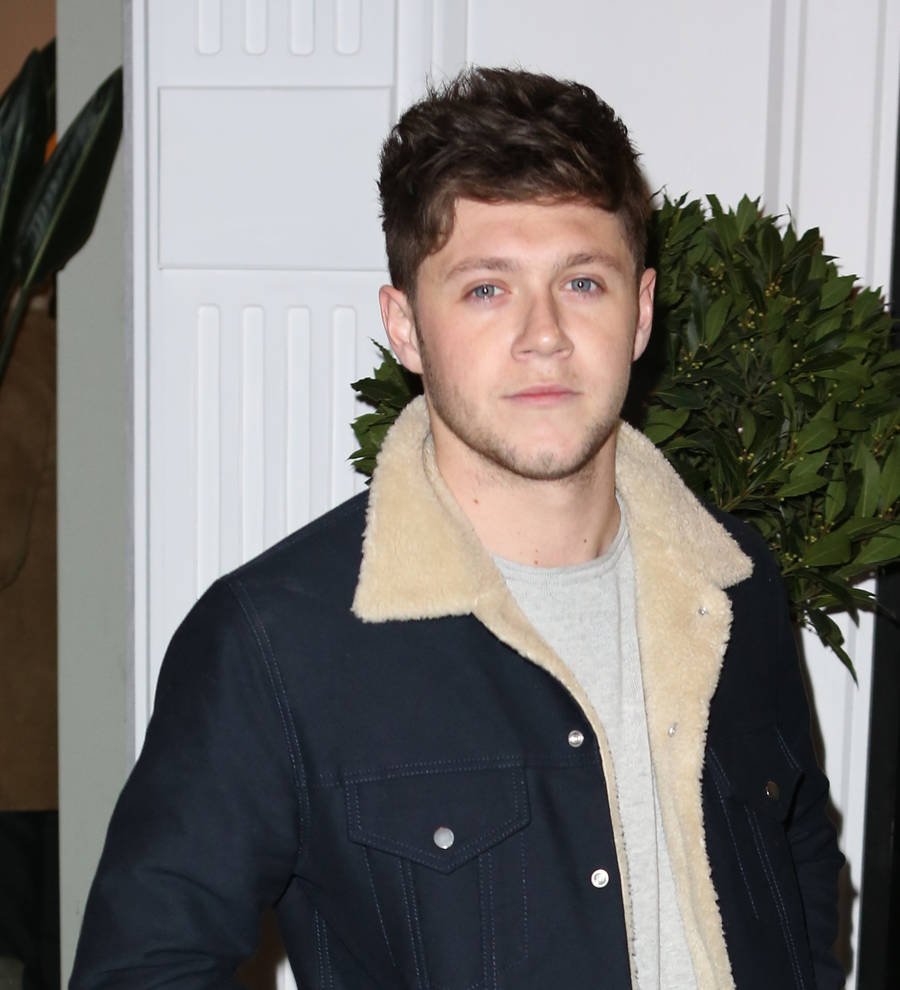 Niall Horan debuts newly-dyed brunette hair