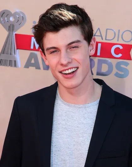 ARTIST SPOTLIGHT: Shawn Mendes