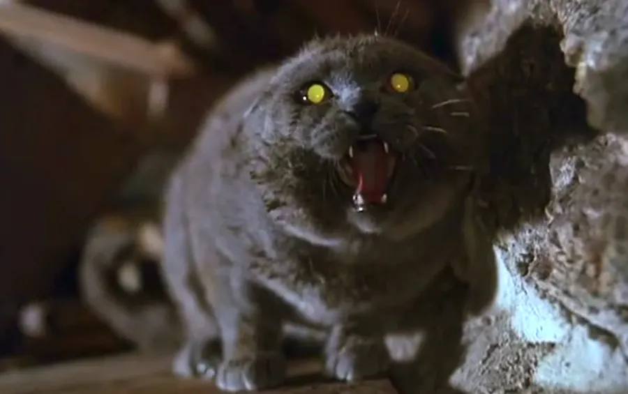 5 Stephen King Stories That Deserve a Reboot or Adaptation!