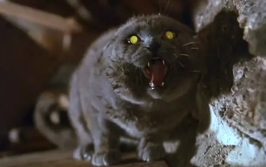 5 Stephen King Stories That Deserve a Reboot or Adaptation!
