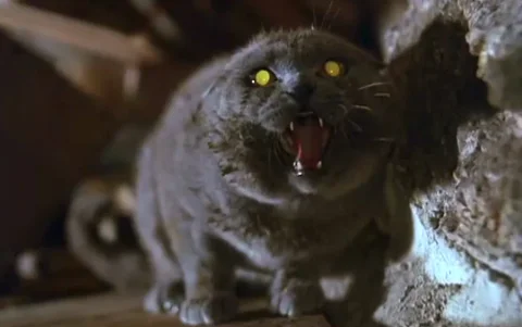 5 Stephen King Stories That Deserve a Reboot or Adaptation!