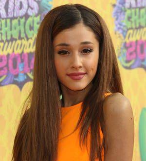 Ariana Grande fan arrested at concert