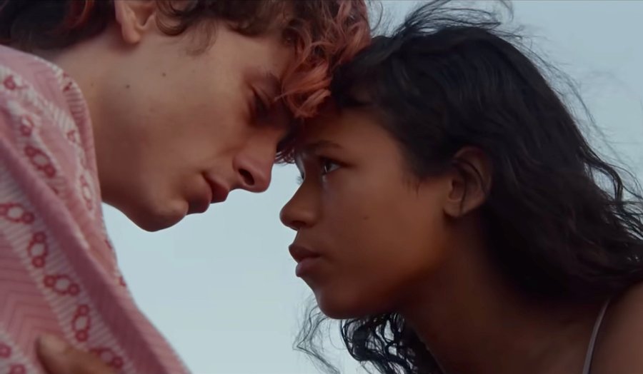 Dive Deeper Into The World of Luca Guadagnino's Horror-Romance 'Bones and All'!