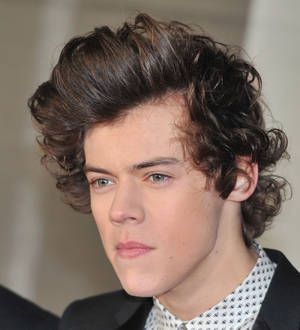 Harry Styles: 'I'm not gay'