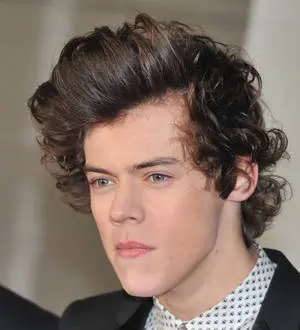 Harry Styles: 'I'm not gay'