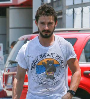 Shia LaBeouf given plea deal deadline in court