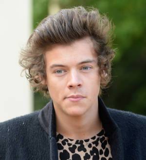 Harry Styles' shirt sells for thousands