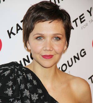 Maggie Gyllenhaal & James Franco missed out on The Iceman leads