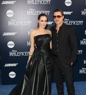 Brad Pitt's alleged attacker sentenced to community labor