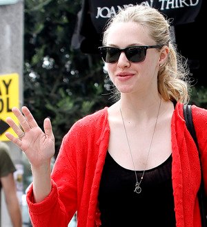 Amanda Seyfried and Bret Michaels donate to children's charity