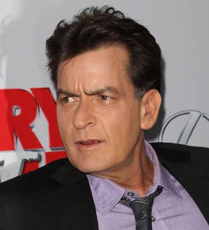 Brooke Mueller's brother lands temporary custody of Sheen's kids