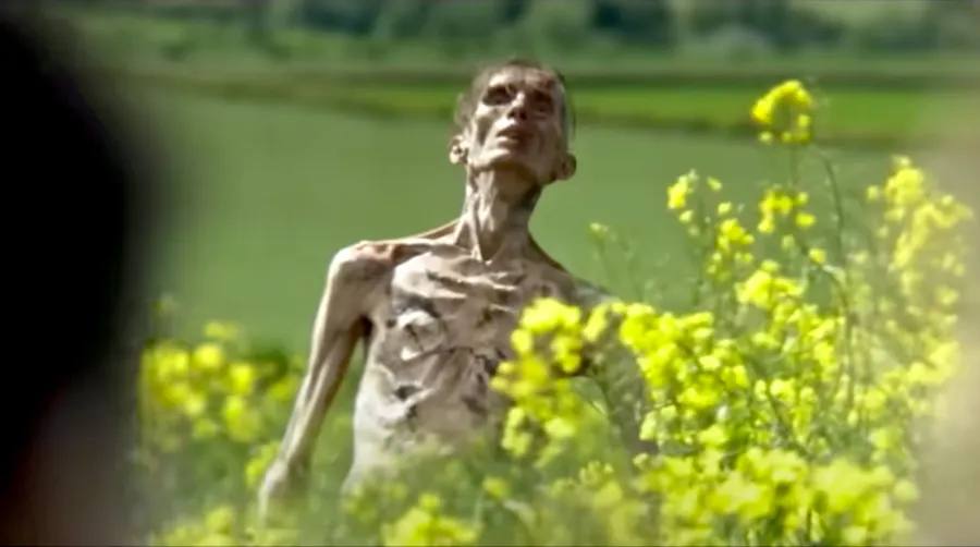 How '28 Years Later' Perfectly Caps The '28 Days' Trilogy -- And Sets Up a New One!