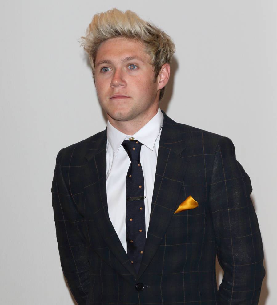 Niall Horan eyeing move into folk music