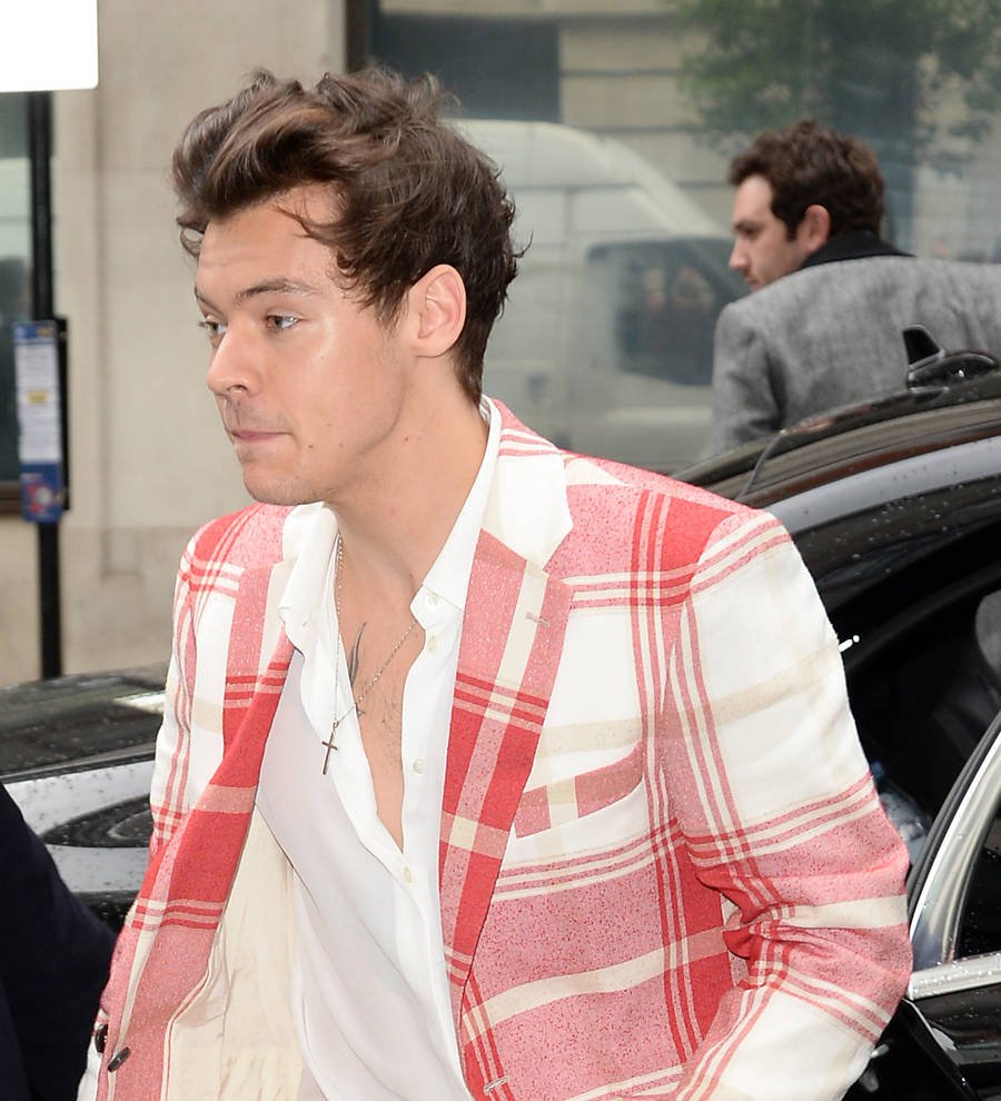 Harry Styles: 'I've never felt the need to label my sexuality'