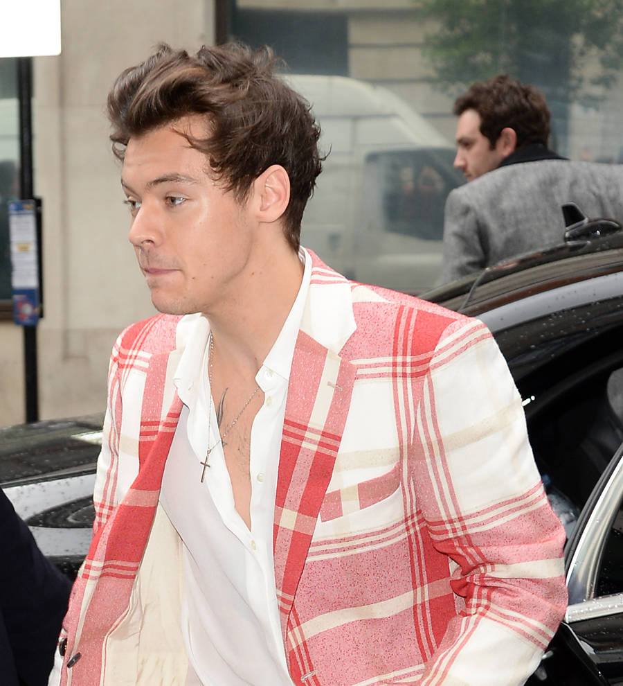 Harry Styles: 'I've never felt the need to label my sexuality'