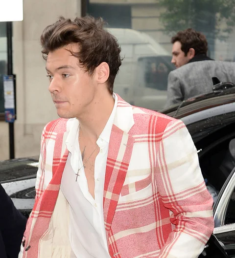 Harry Styles: 'I've never felt the need to label my sexuality'