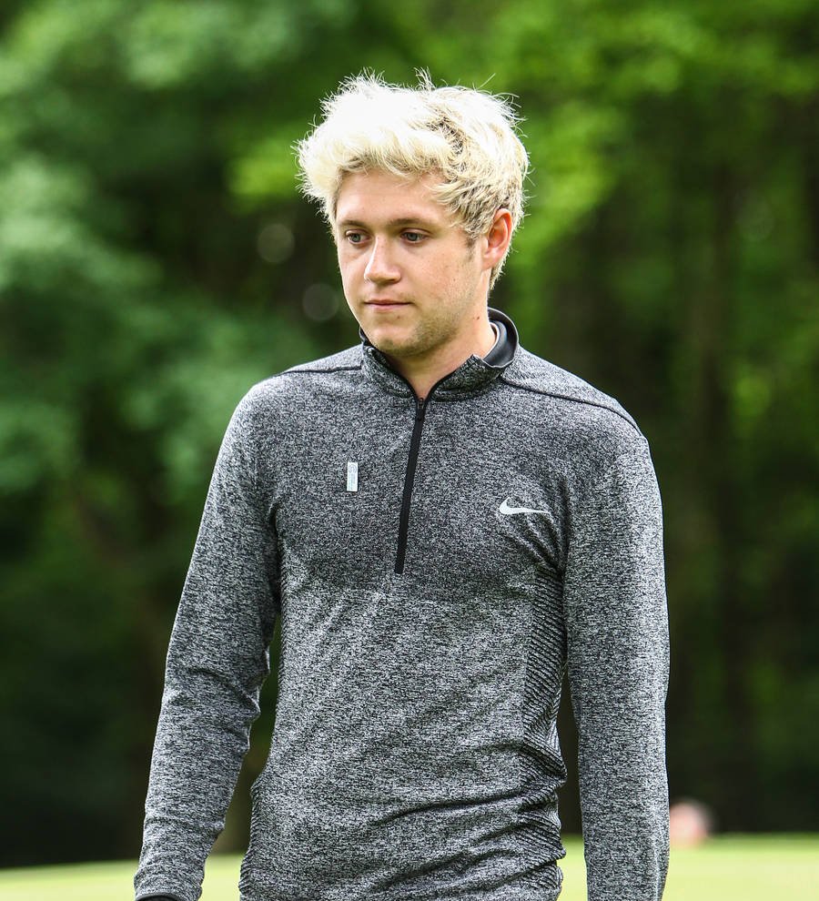 Niall Horan to perform solo at the American Music Awards