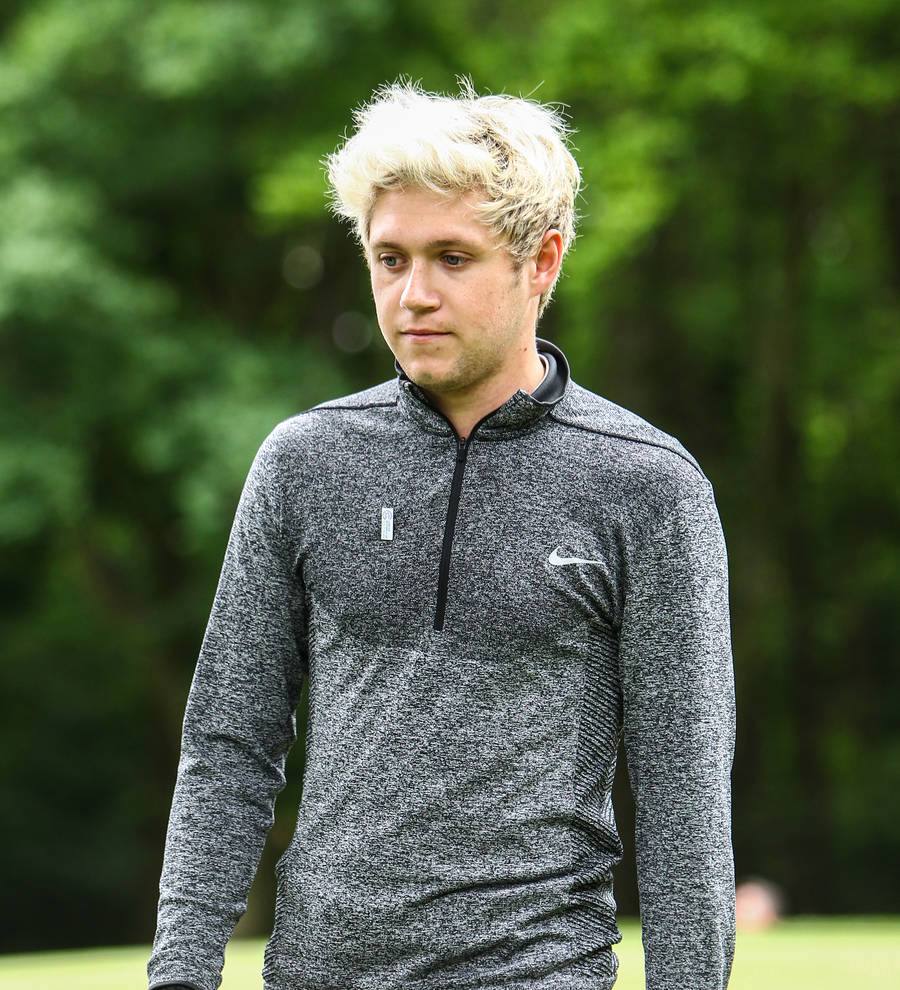 Niall Horan to perform solo at the American Music Awards