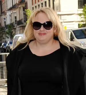 Rebel Wilson's rumored boyfriend joins her new film