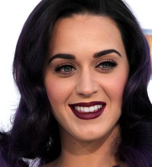 Katy Perry turned down X Factor role