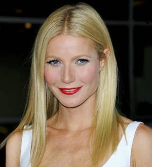 Backlash over Gwyneth Paltrow's war comment