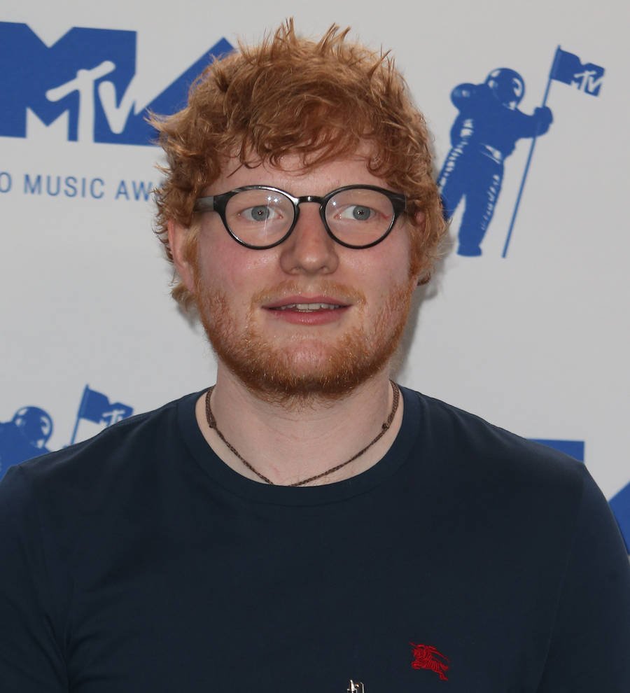 Ed Sheeran serenades baby at Miami gig